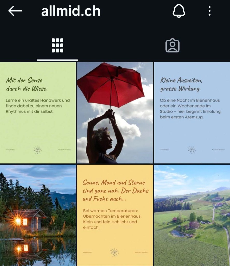 Instagram-Feed Allmid / Naturapotheke Bienenstock