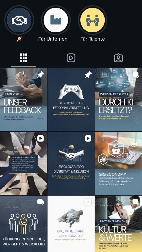 Instagram-Feed Cannella & Partner Solutions