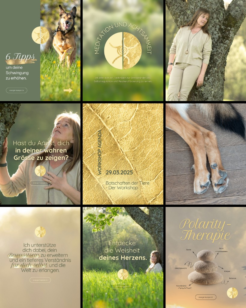 Instagram-Feed Energiekörper